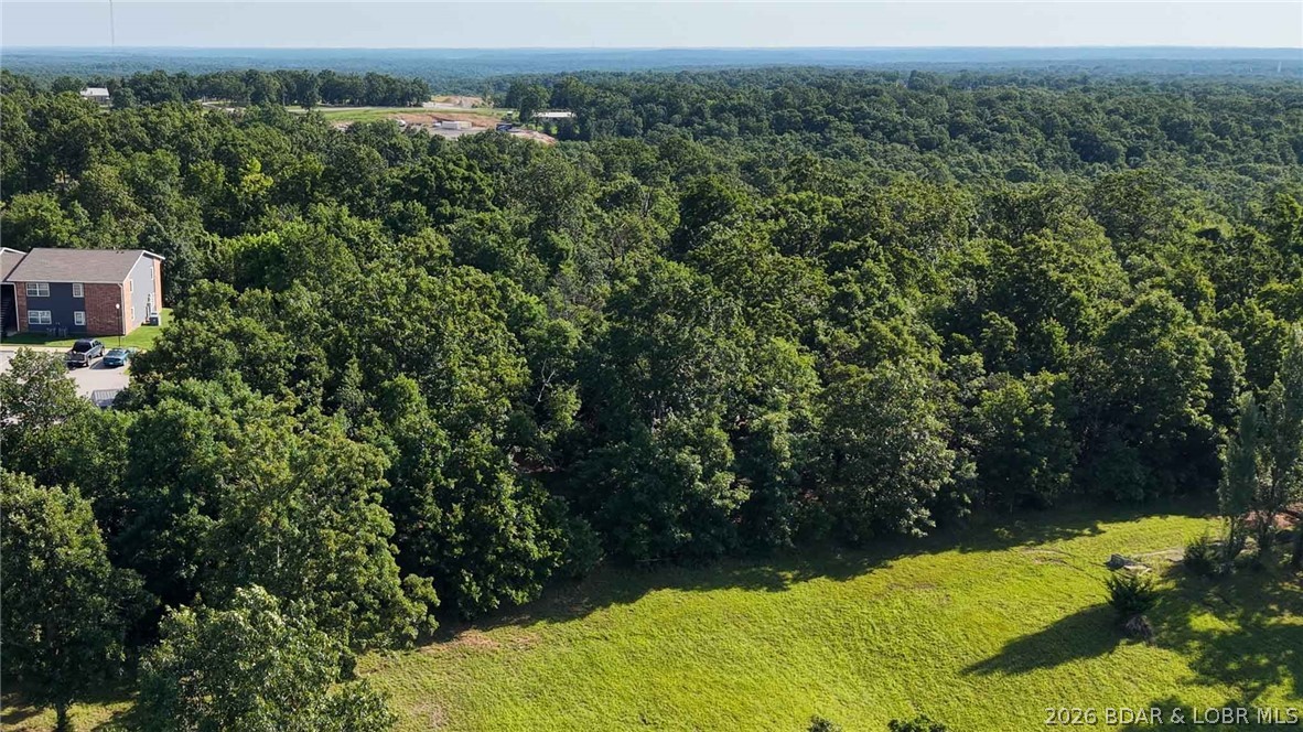 Tbd Tbd O Road Gravois Mills, MO 65037 - Photo 8 of 11