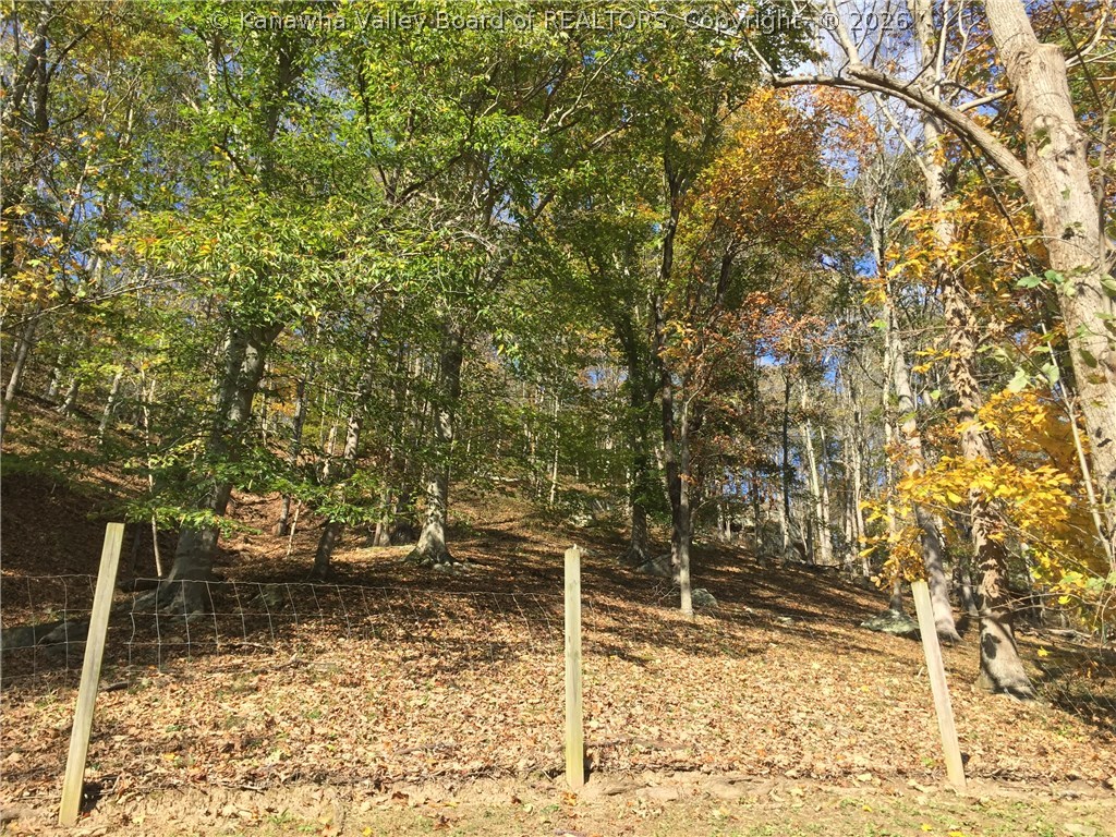 2891 Lower Creek Road Milton, WV 25541 - Photo 26 of 30 Gallery Image 26