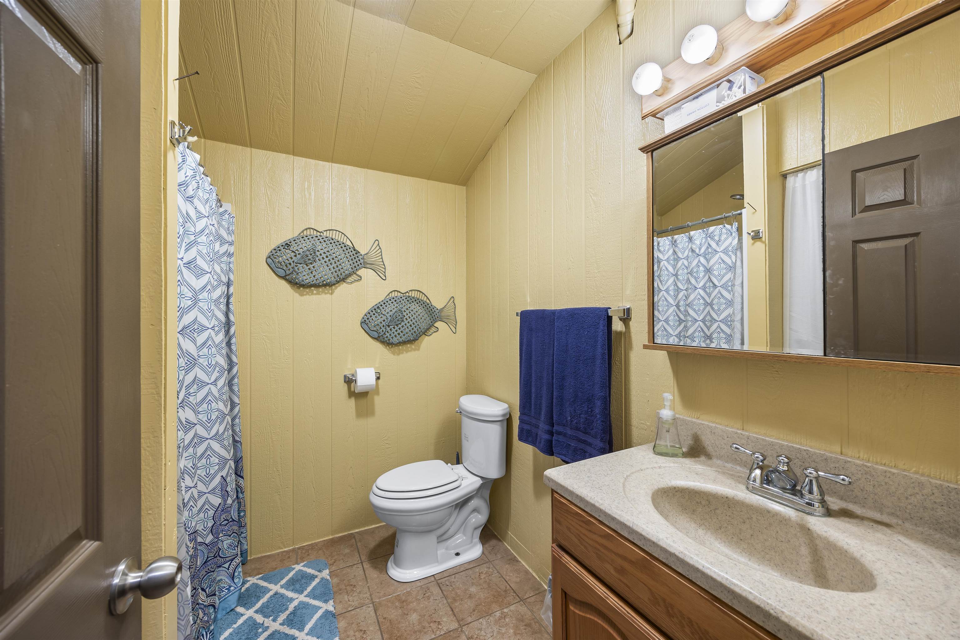 4830 Kendall Road Hornbeak, TN 38232 - Photo 11 of 37 a bathroom with a sink a toilet and a mirror