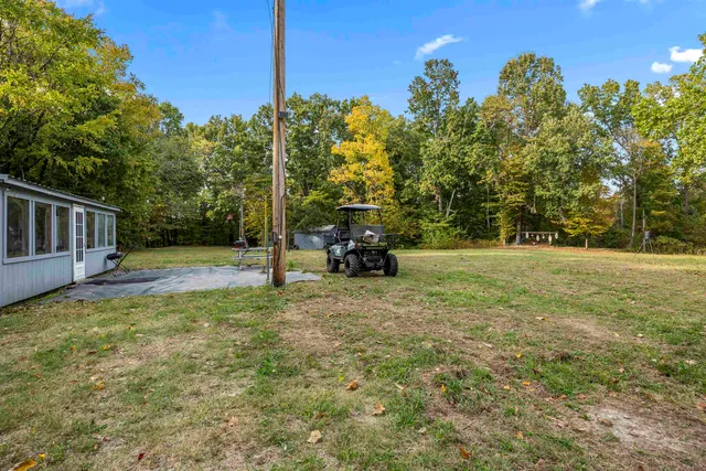a view of a city with lush green forest