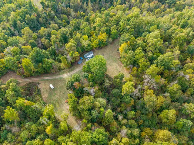 a view of a green field