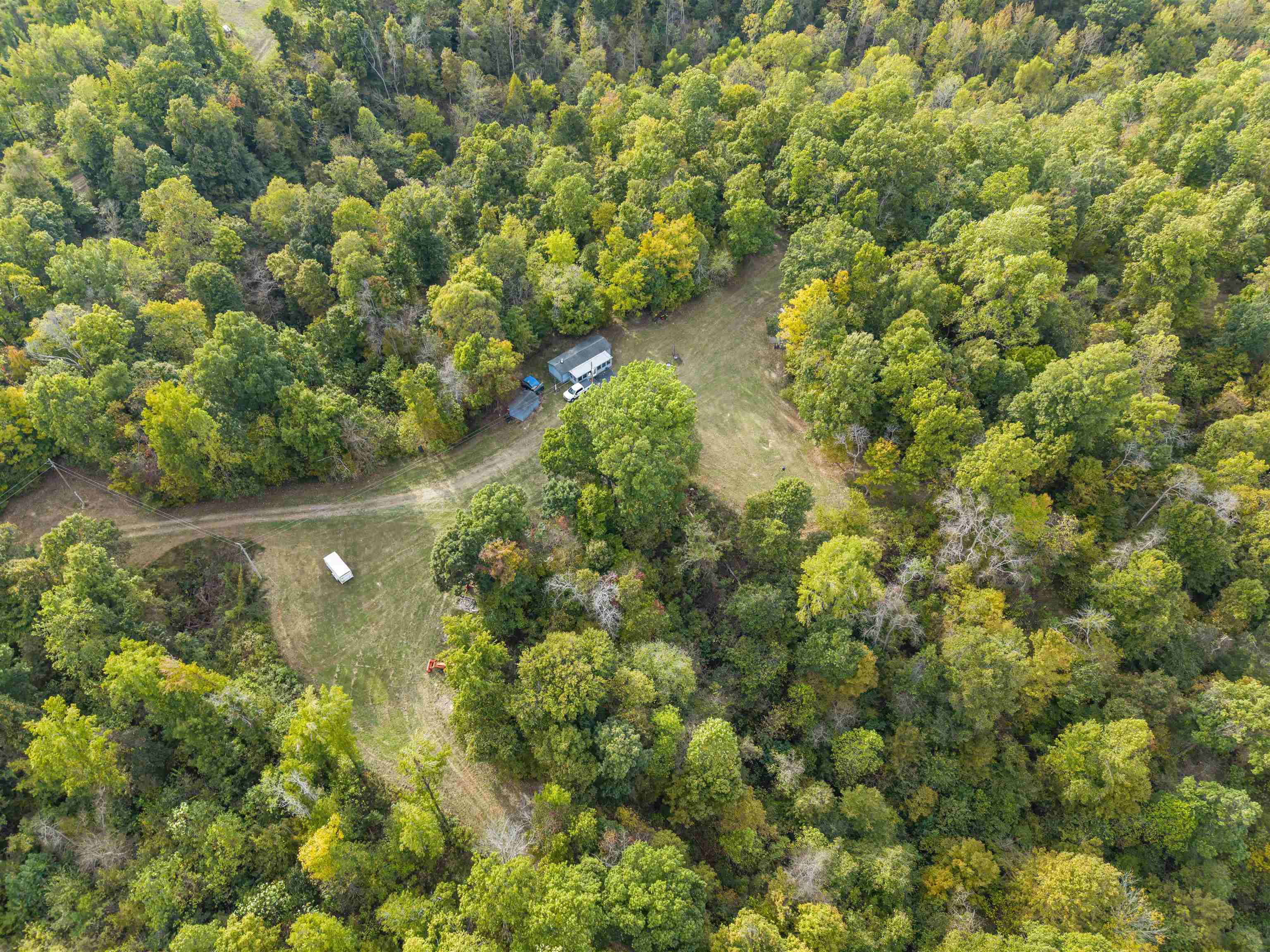4830 Kendall Road Hornbeak, TN 38232 - Photo 19 of 37 a view of a garden