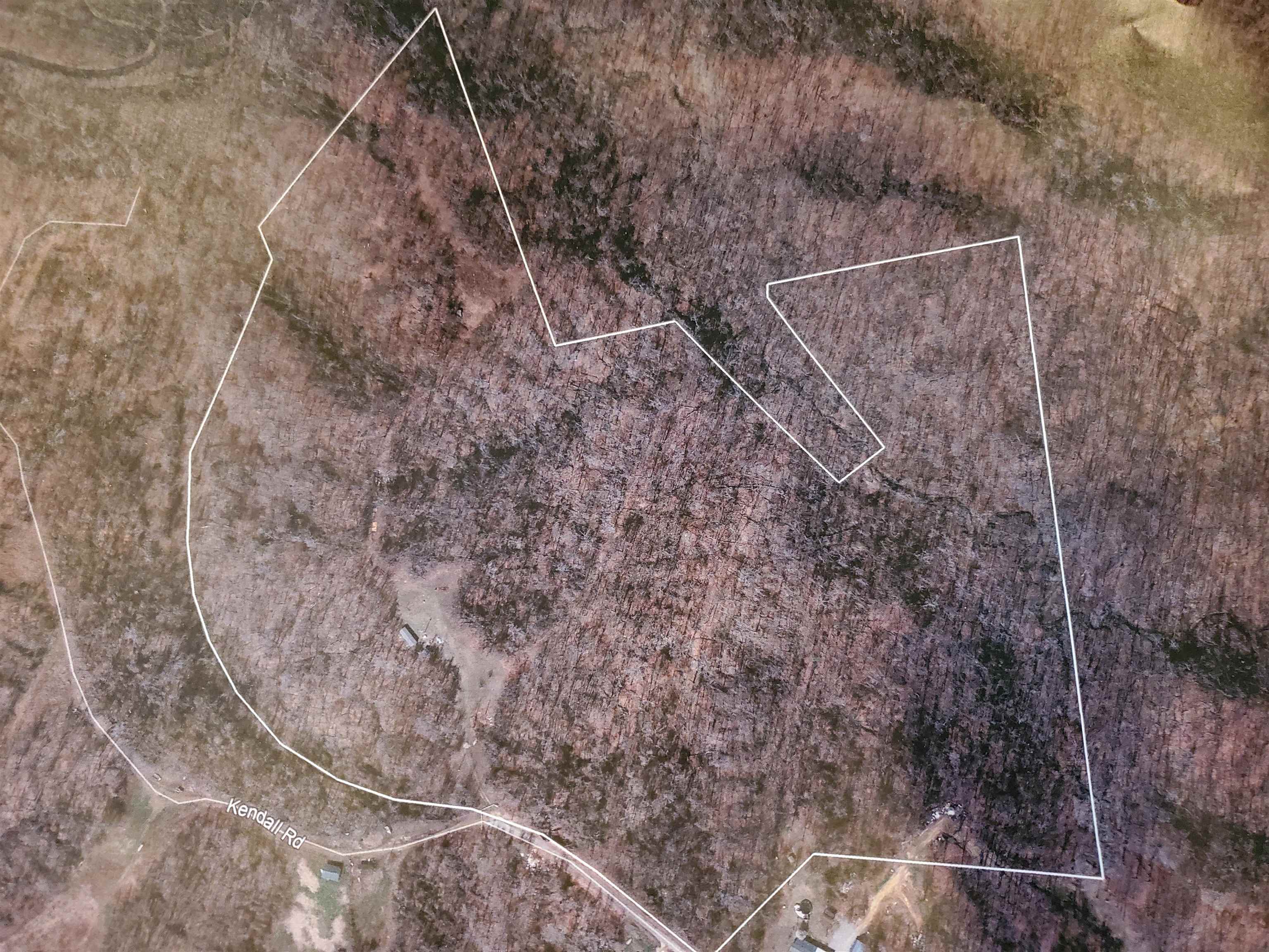 4830 Kendall Road Hornbeak, TN 38232 - Photo 2 of 37 a view of a dry yard