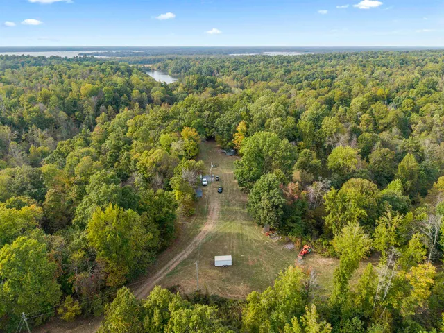 a view of outdoor space with trees all around
