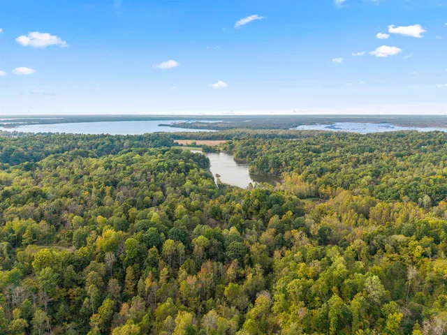 a view of a field with trees