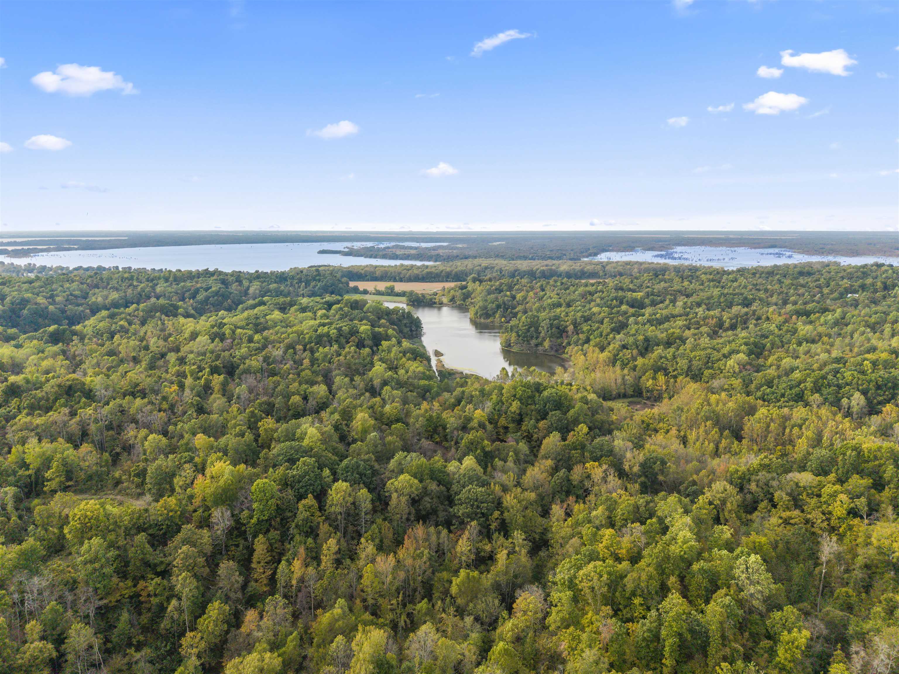 4830 Kendall Road Hornbeak, TN 38232 - Photo 22 of 37 a view of a city