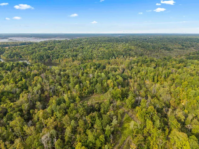 a view of a yard with trees