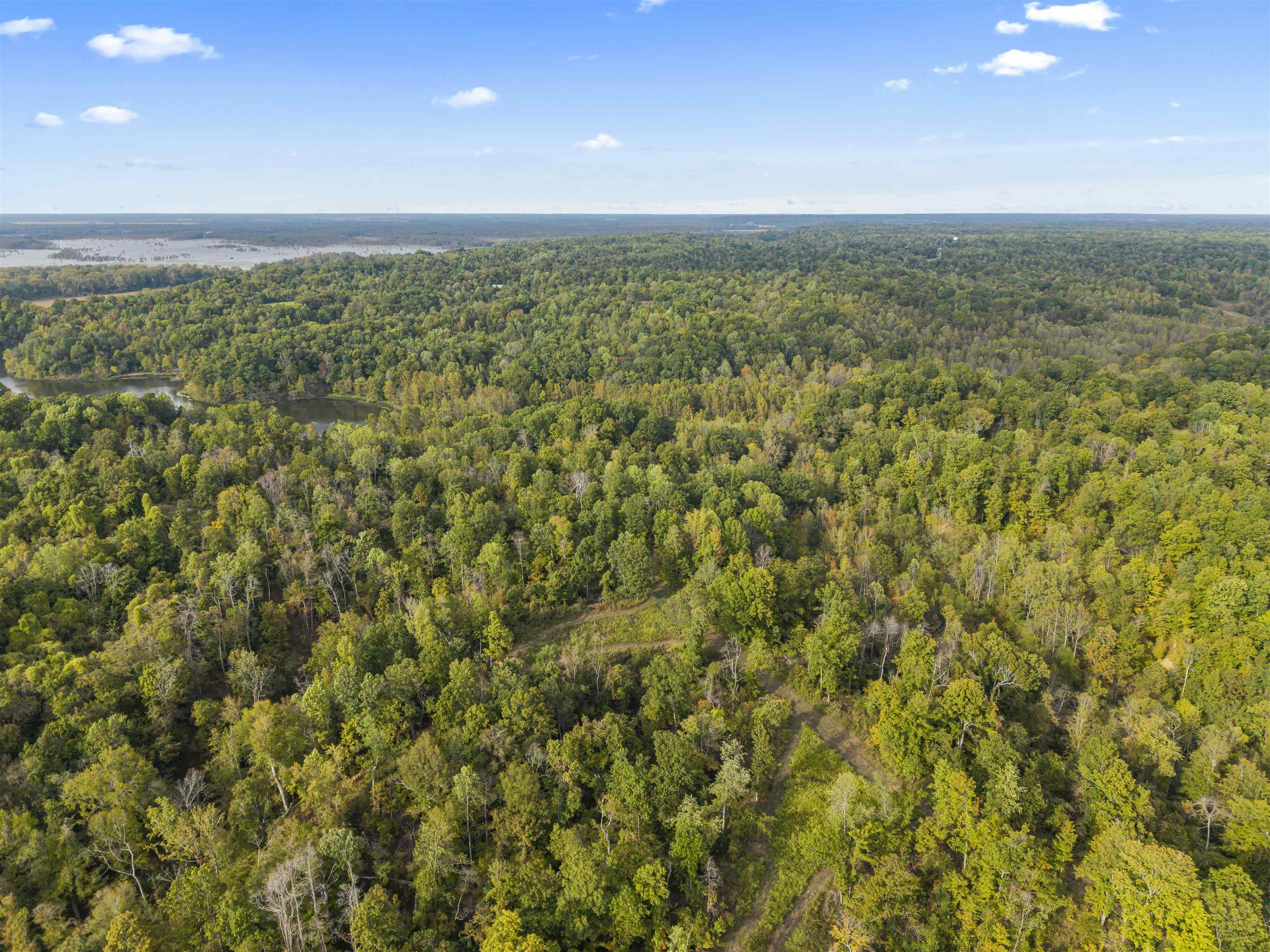 4830 Kendall Road Hornbeak, TN 38232 - Photo 24 of 37 a view of an ocean