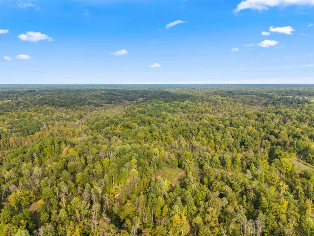 a view of balcony and trees