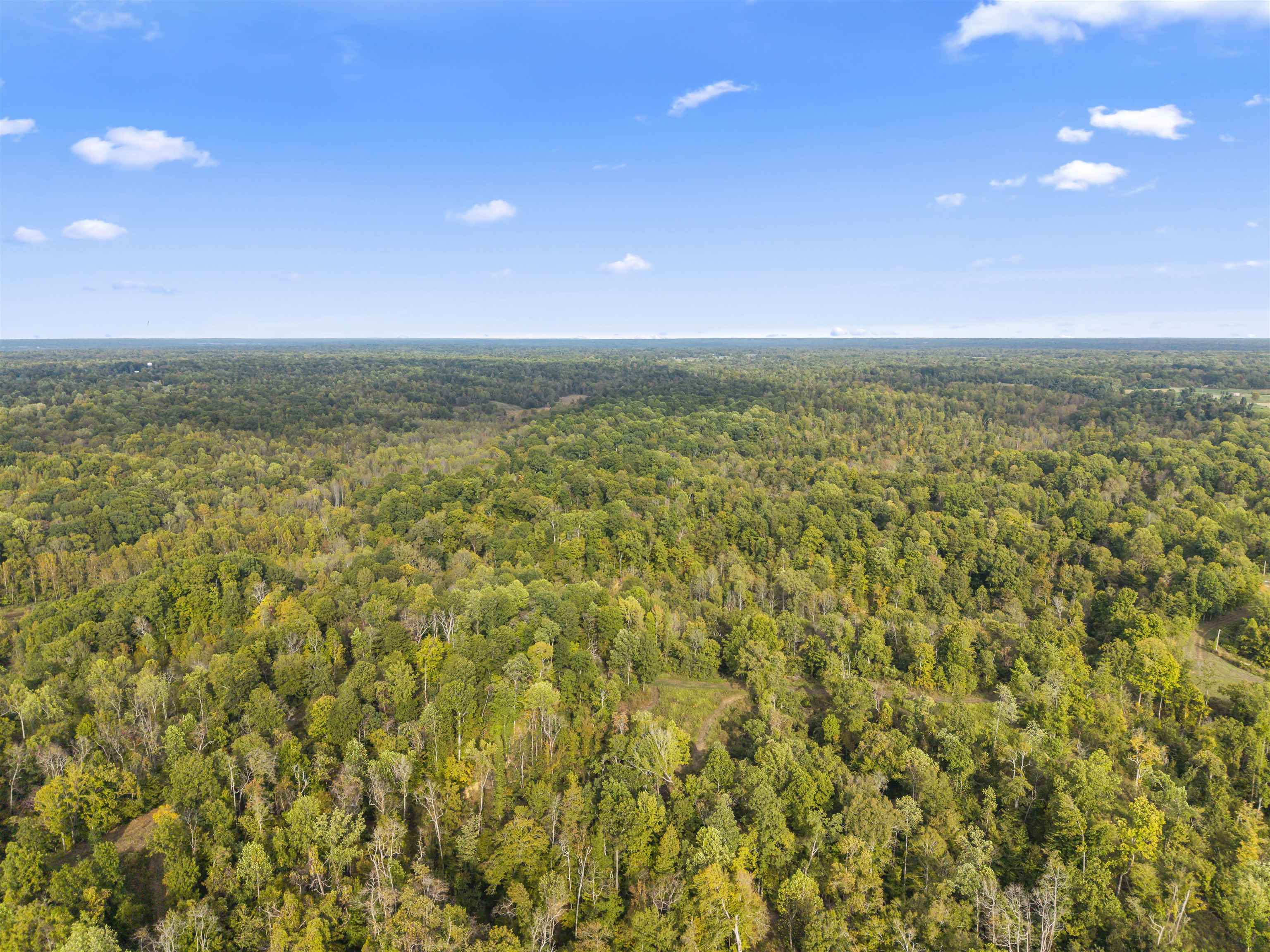 4830 Kendall Road Hornbeak, TN 38232 - Photo 25 of 37 a view of an ocean