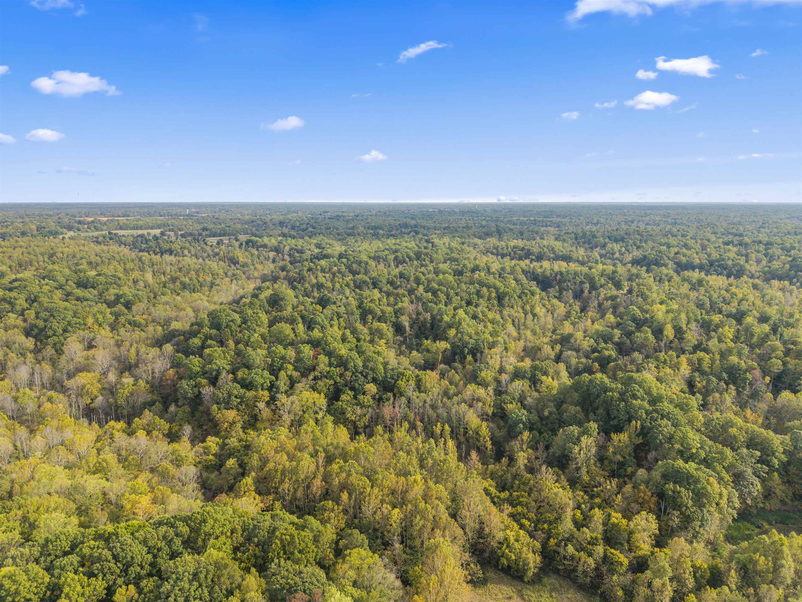 4830 Kendall Road Hornbeak, TN 38232 - Photo 26 of 37 a view of a city with lush green forest