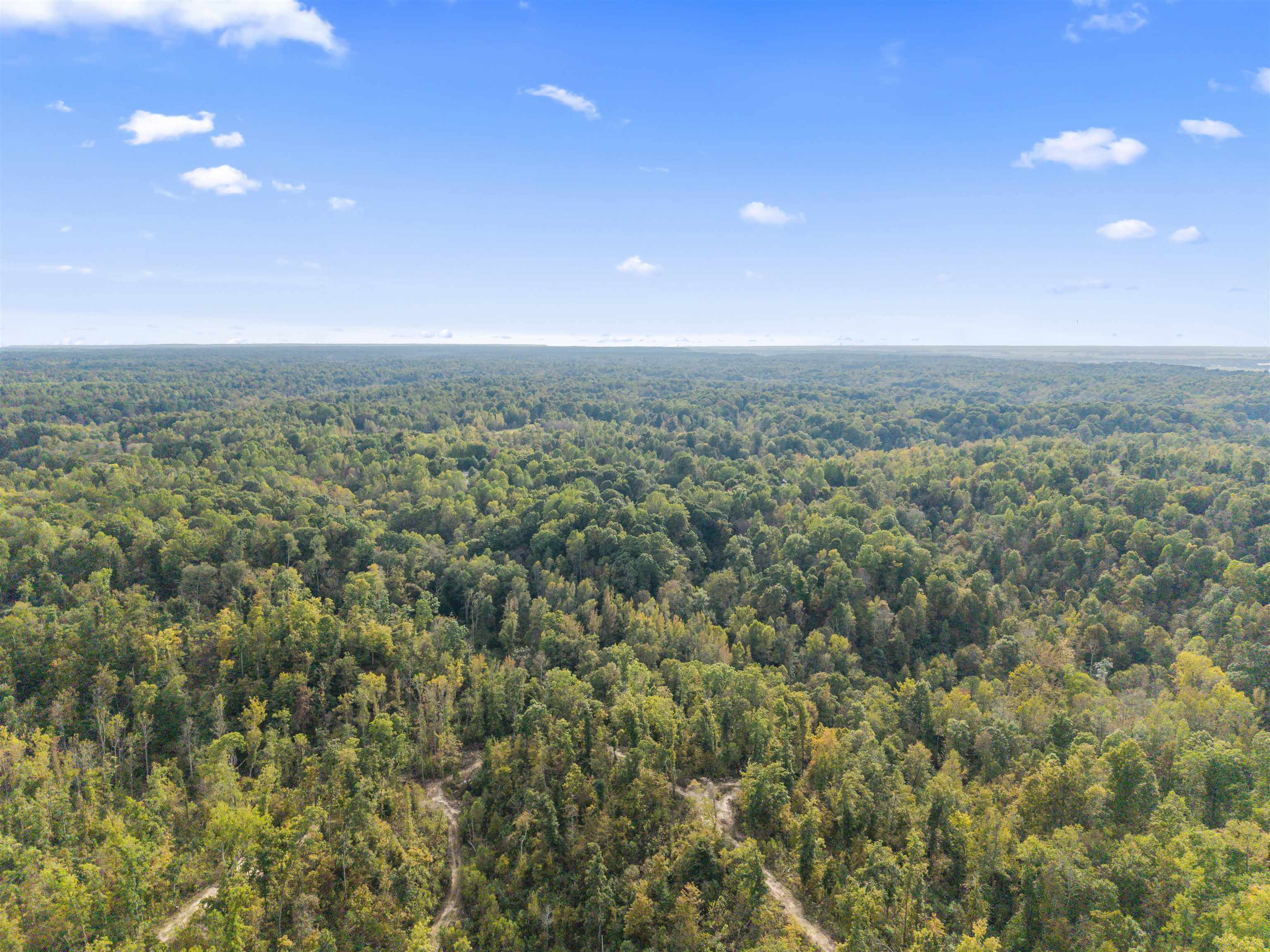 4830 Kendall Road Hornbeak, TN 38232 - Photo 29 of 37 a view of a city