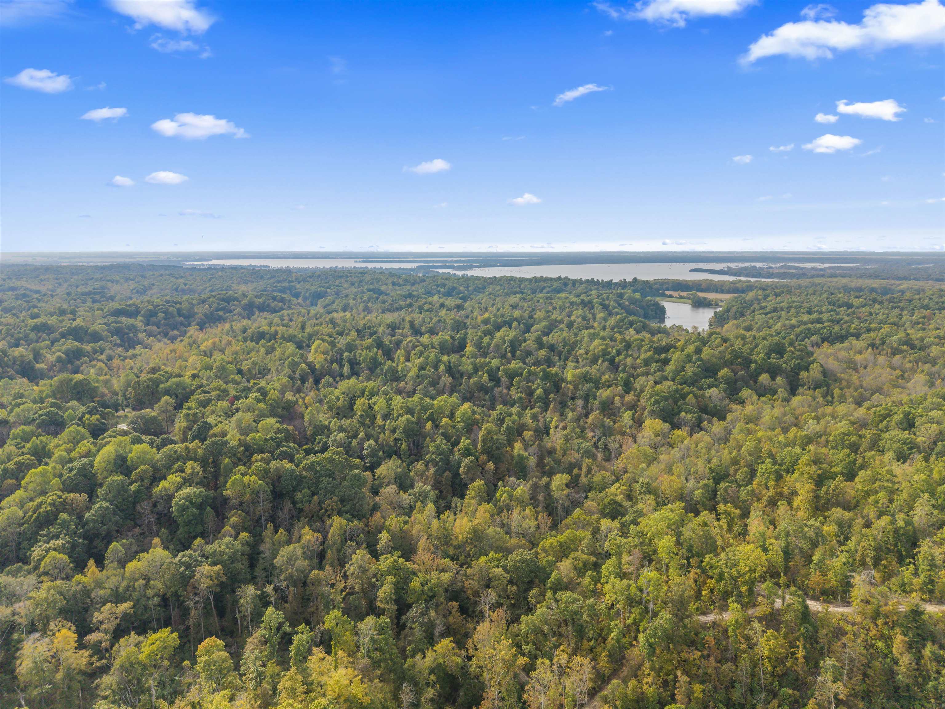 4830 Kendall Road Hornbeak, TN 38232 - Photo 30 of 37