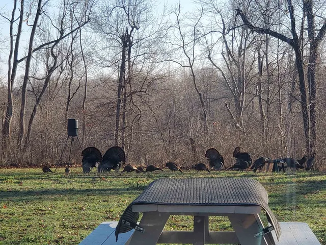 $245,000 | 4830 Kendall Road, Hornbeak, TN 38232