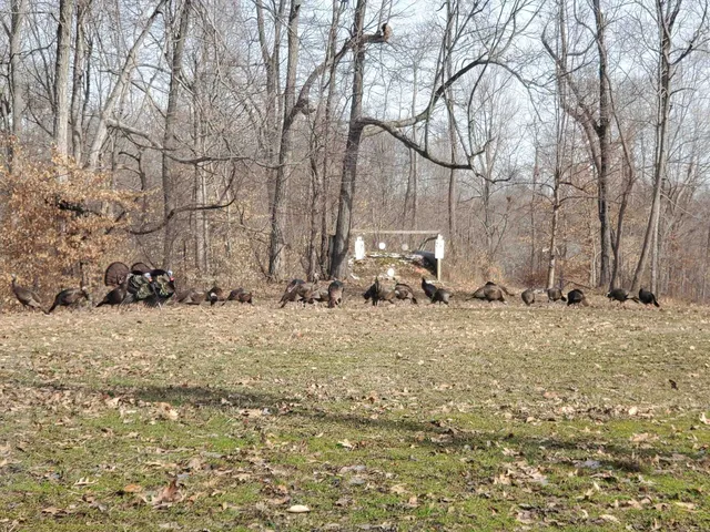 $245,000 | 4830 Kendall Road, Hornbeak, TN 38232