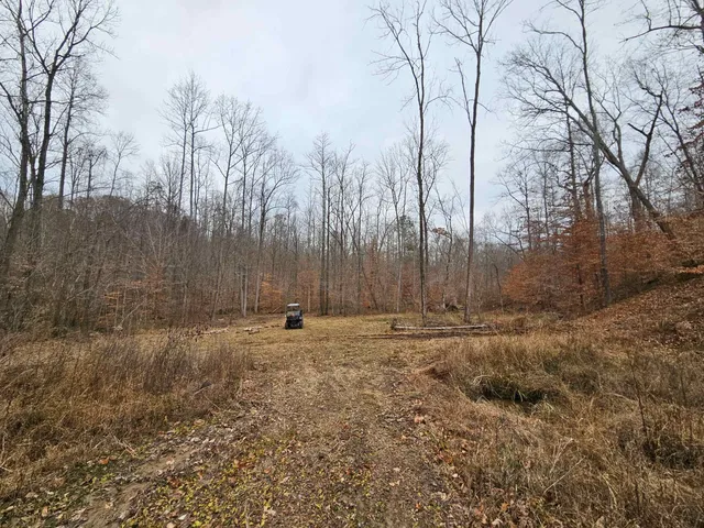 $245,000 | 4830 Kendall Road, Hornbeak, TN 38232