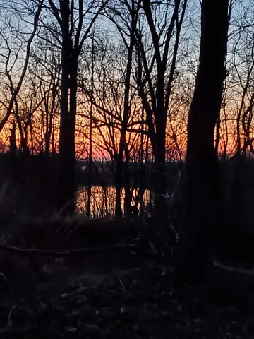 $245,000 | 4830 Kendall Road, Hornbeak, TN 38232