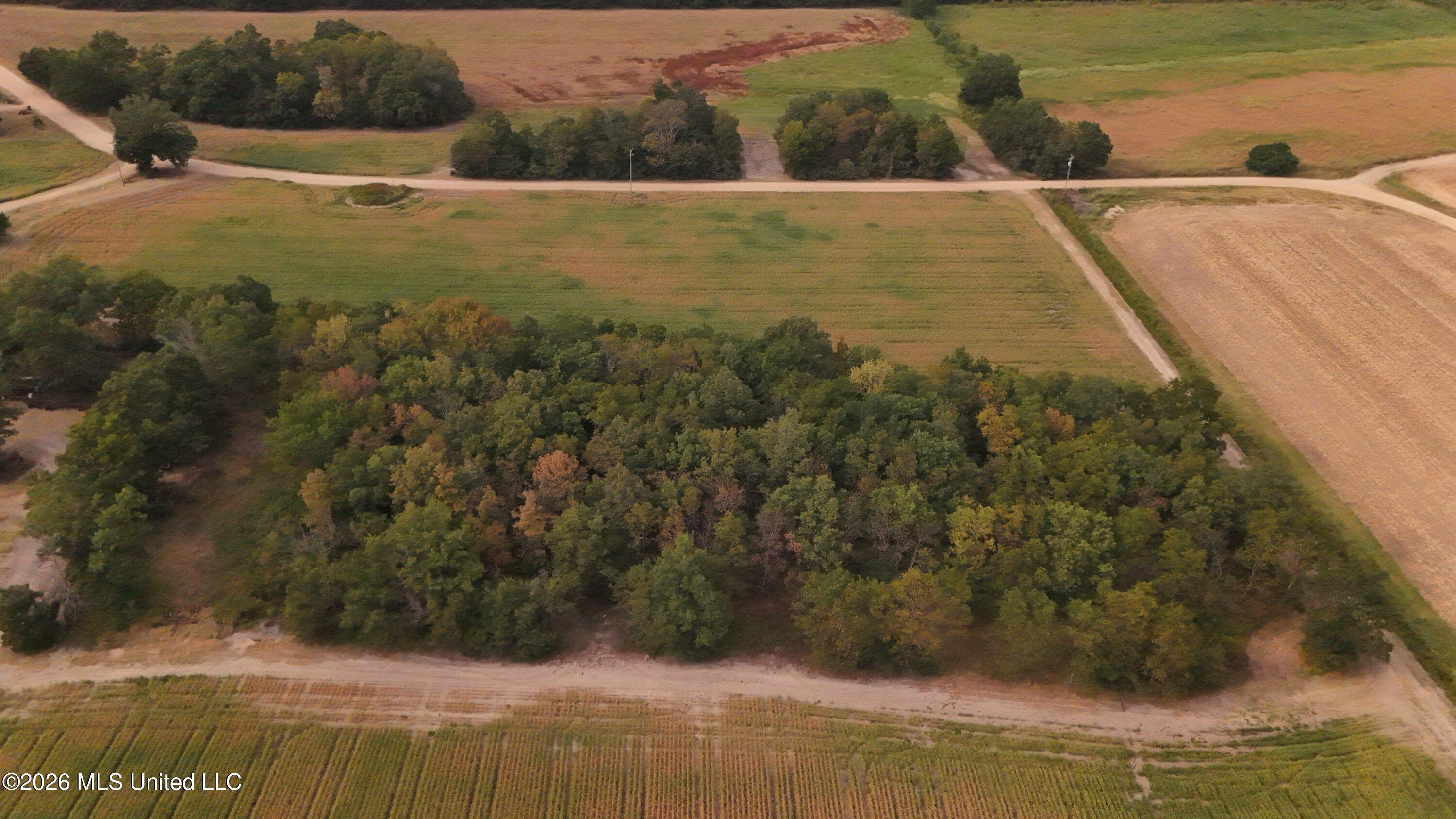 3342 Campbell Road Tutwiler, MS 38963 - Photo 10 of 25 DJI_20260820182107_0564_D
