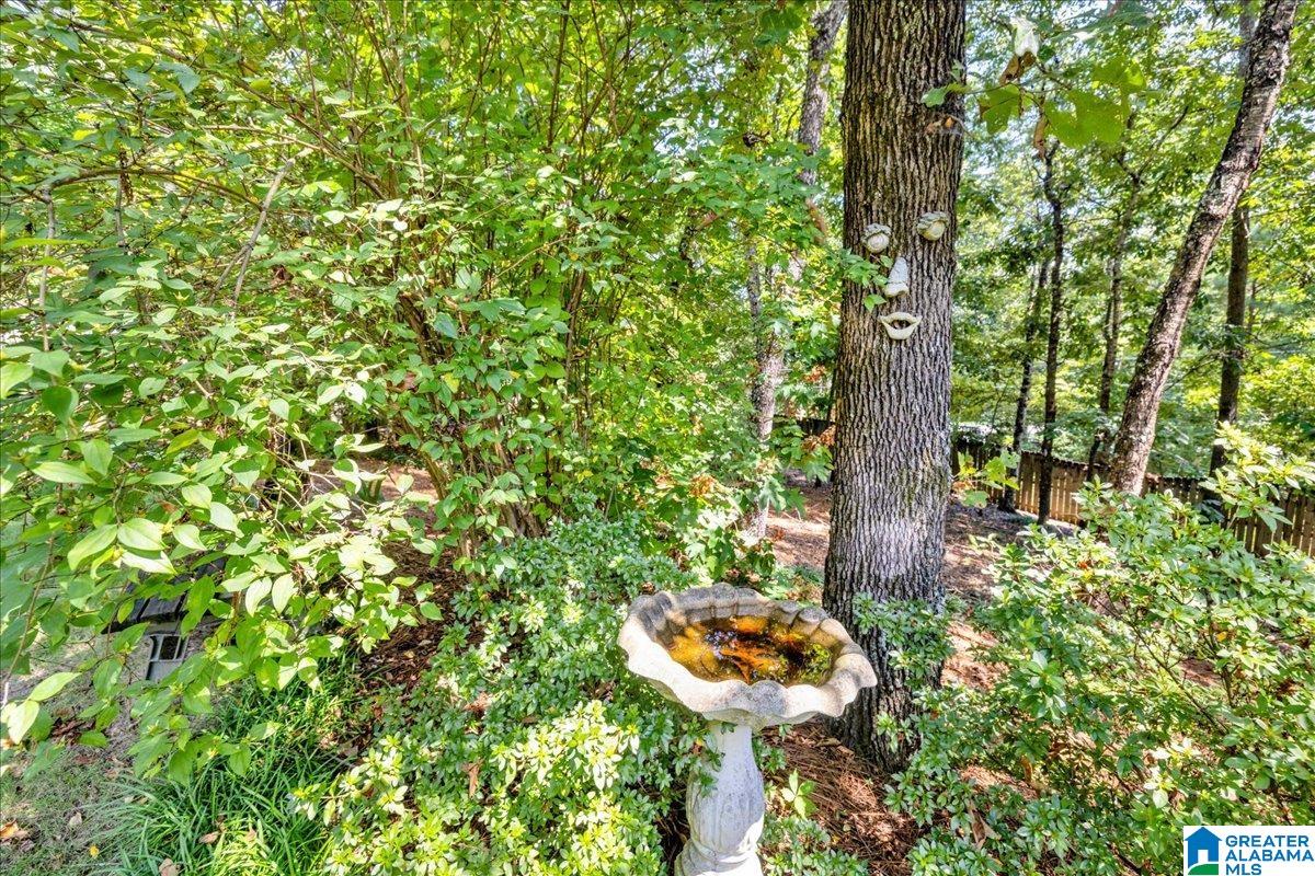 708 Meadow Ridge Court Birmingham, AL 35242 - Photo 62 of 65