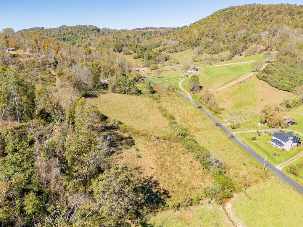4-acres Carsonville Road Independence, VA 24348 - Photo 39 of 42 Gallery Image 39