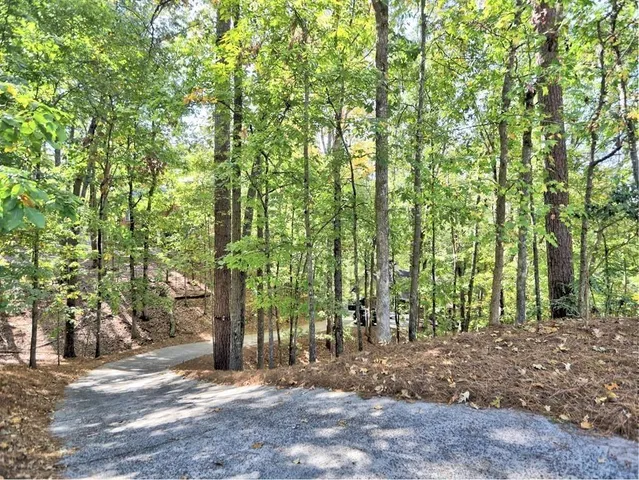 a view of a yard with plants and trees