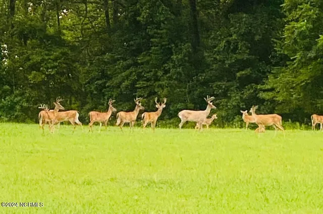 $100,000 | 338-340 Scotch Hall Court, Merry Hill, NC 27957