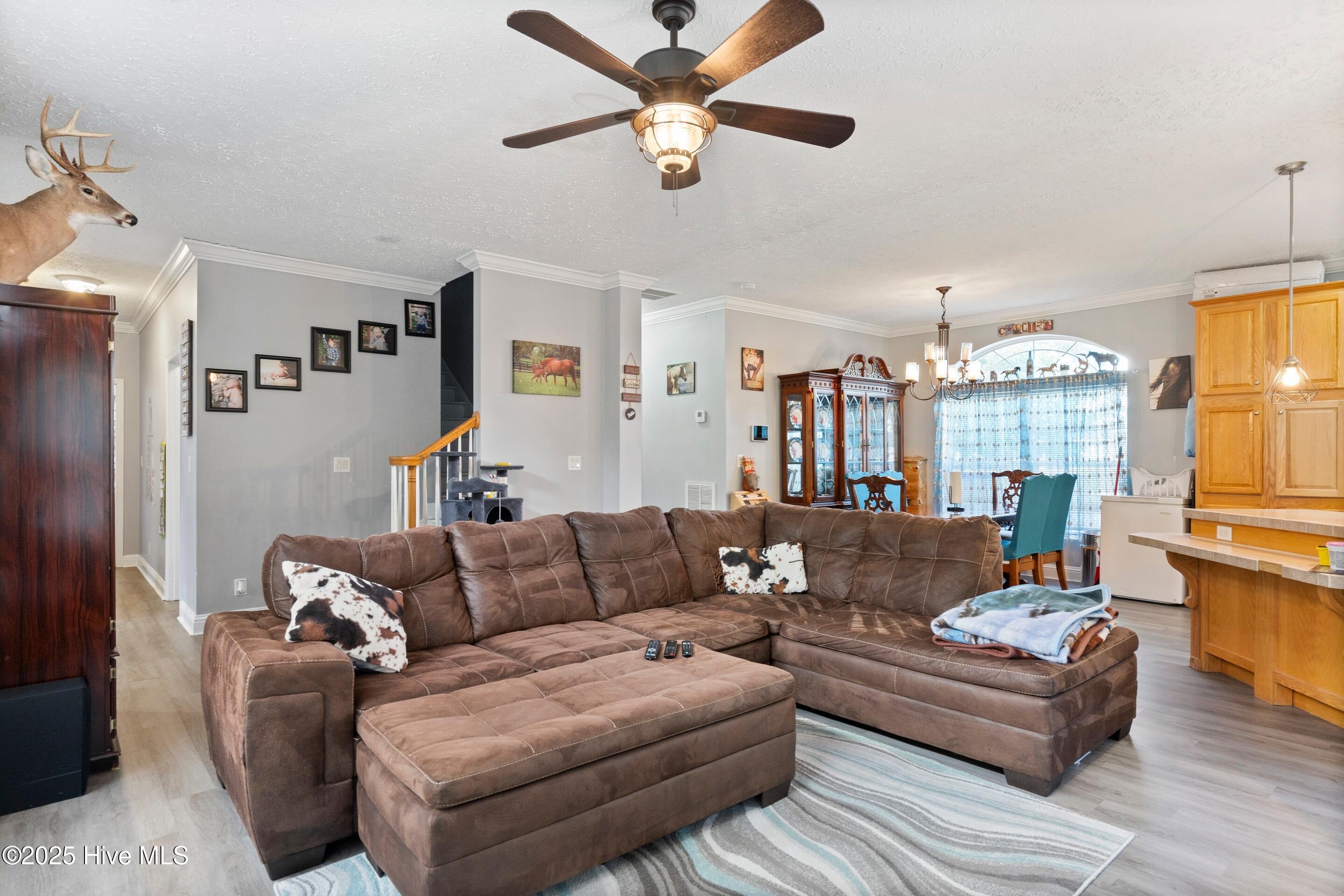 105 Myrtle Road La Grange, NC 28551 - Photo 11 of 56 mls-DSC04201