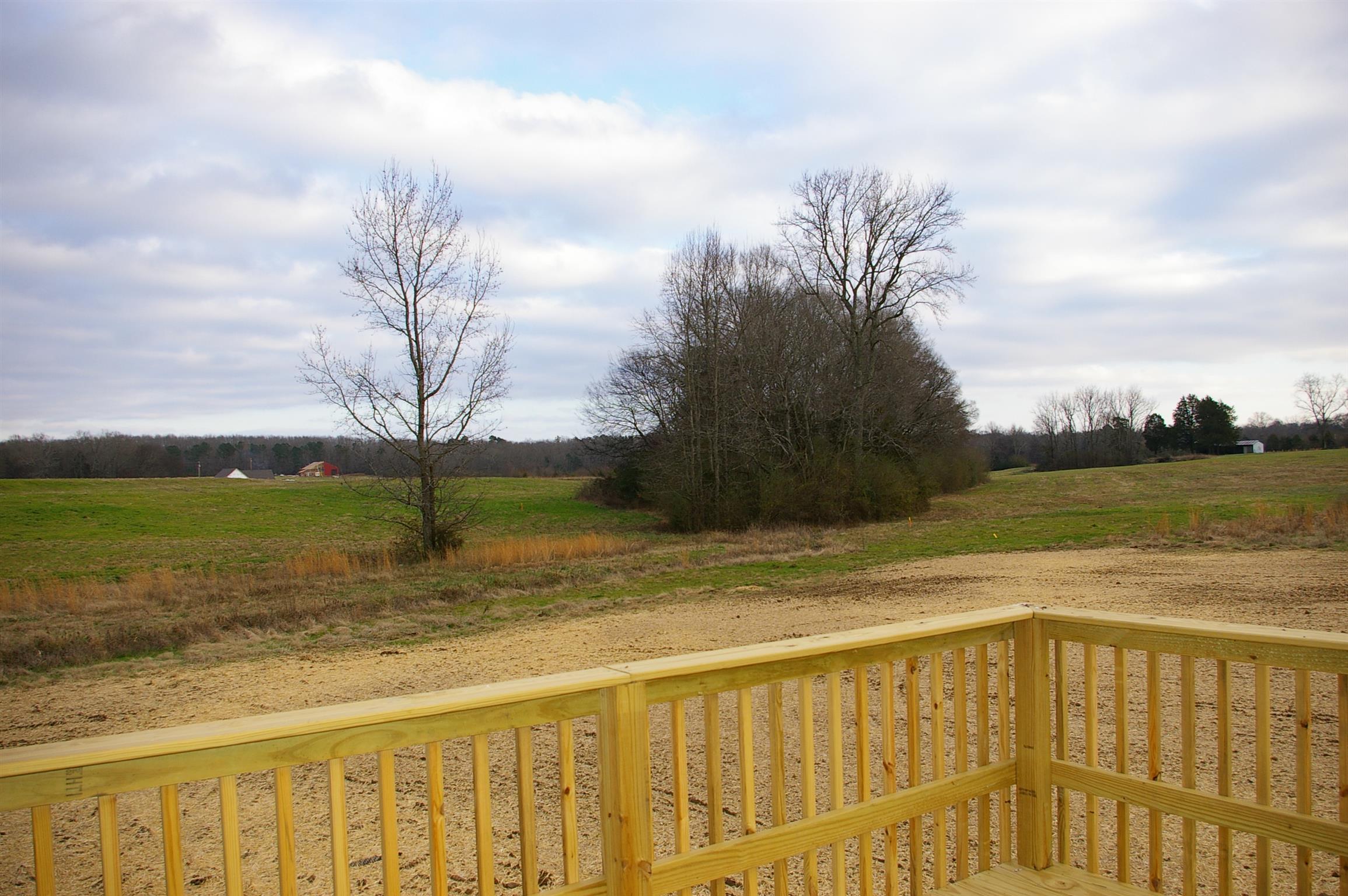 1028 Old Seminary Road Manchester, TN 37355 - Photo 13 of 14 View from deck