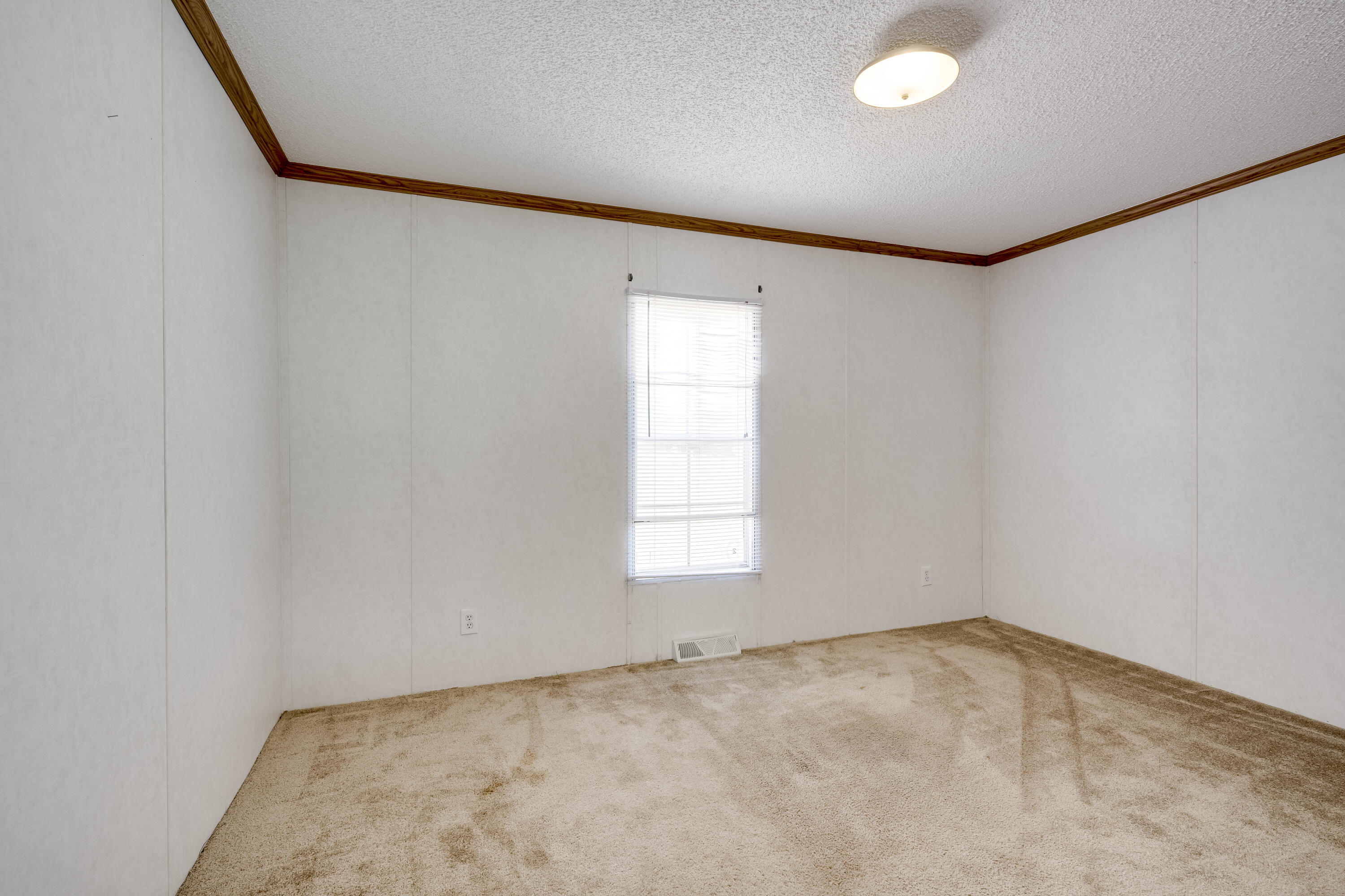 798 Big Branch Road Wagener, SC 29164 - Photo 30 of 63