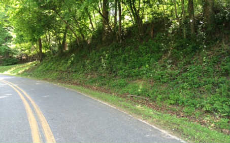 Ed Graves Road Murphy, NC 28906 - Photo 1 of 1 a view of a yard with an trees