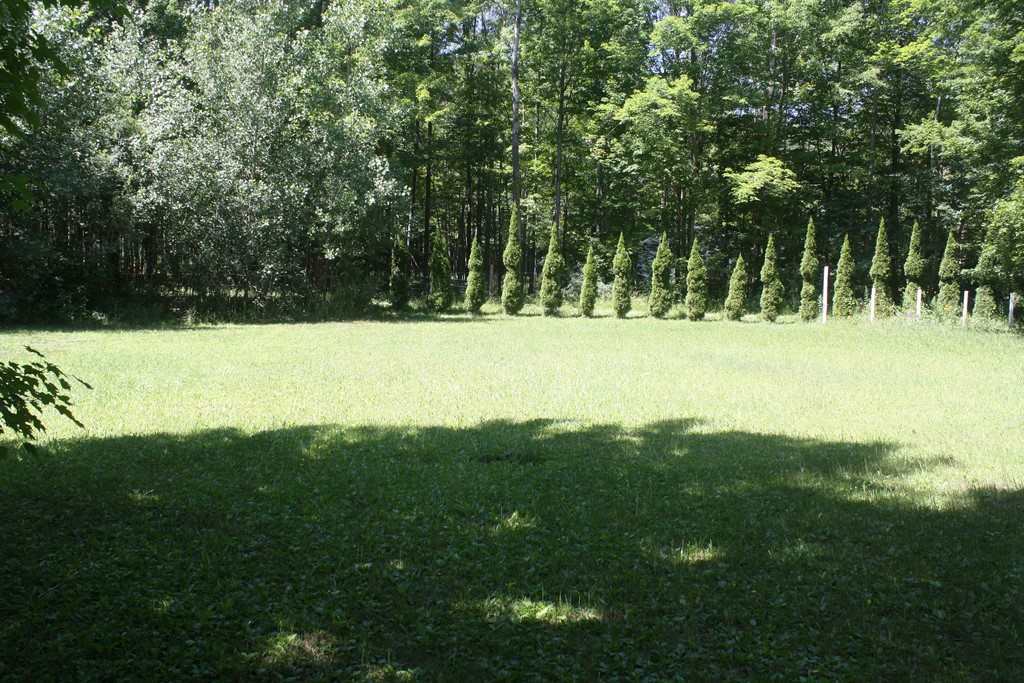 7950 East Baseline Road Mount Pleasant, MI 48858 - Photo 7 of 31 1812932-6.JPG