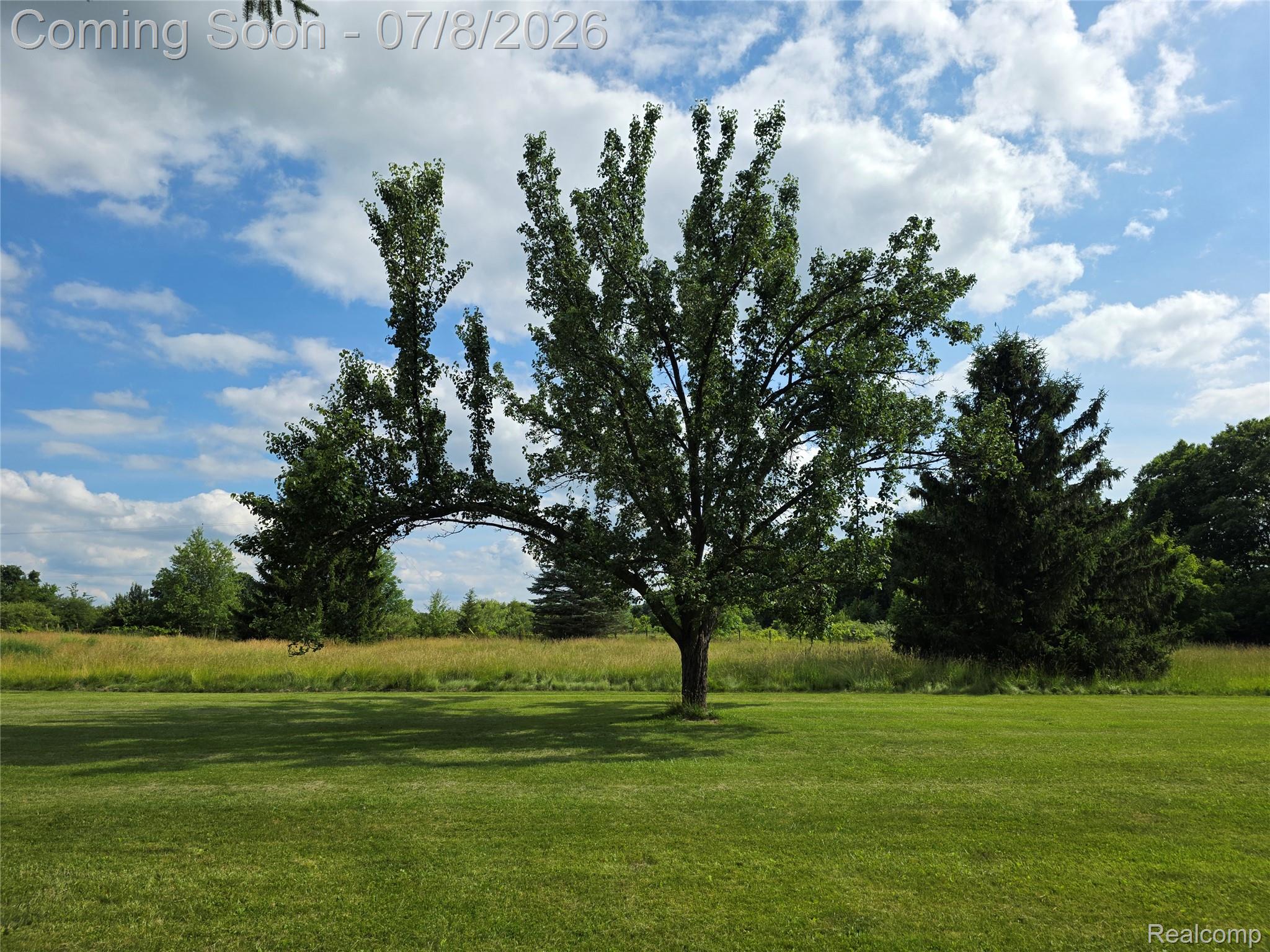 3581 North Burkhart Road Howell, MI 48855 - Photo 11 of 15 Expansive green lawn with mature trees and natural landscaping
