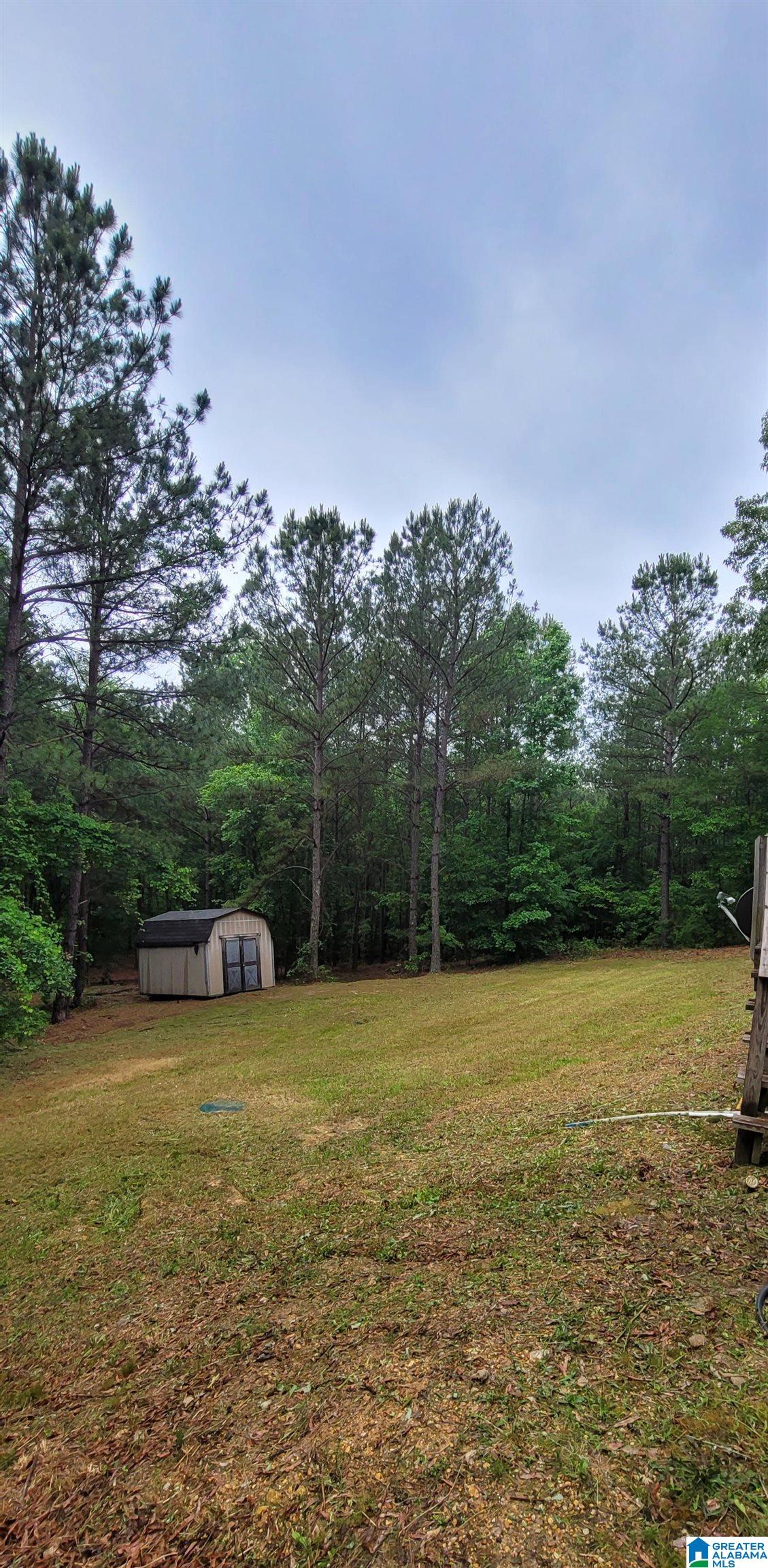 234 Roberts Road Ashville, AL 35953 - Photo 11 of 14