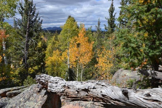 Tbd Linger Road Florissant, CO 80816 - Photo 20 of 35 a backyard of a house with lots of green space