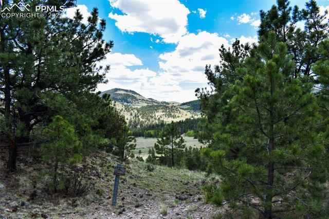 264 Jack Younce Road Guffey, CO 80820 - Photo 27 of 36 Gallery Image 27