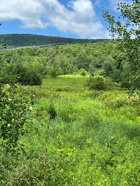 Narrow Notch Road Hobart, NY 13788 - Photo 4 of 7 Gallery Image 4
