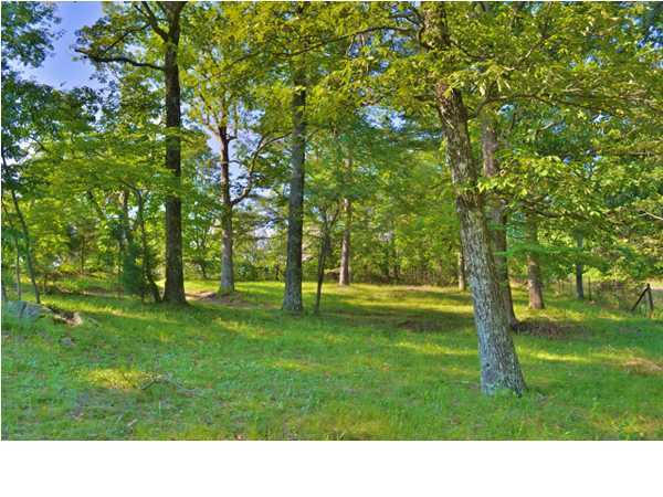 5315 Scenic Highway Rising Fawn, GA 30738 - Photo 4 of 32 Additional Photo