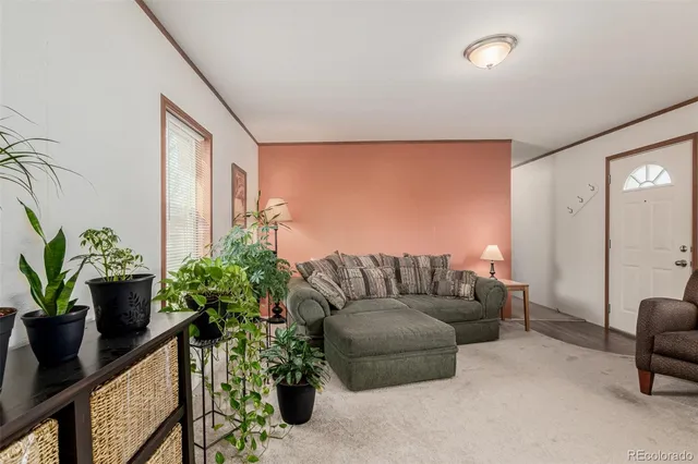 a living room with furniture potted plant and a window