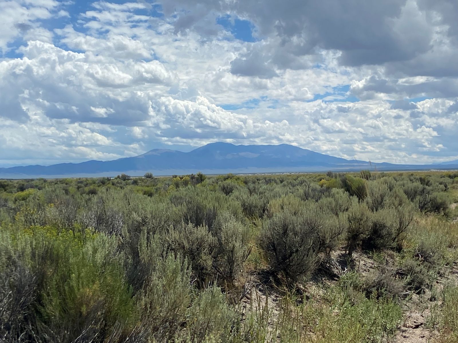 Tbd South Clover Valley Road Wells, NV 89835 - Photo 4 of 13