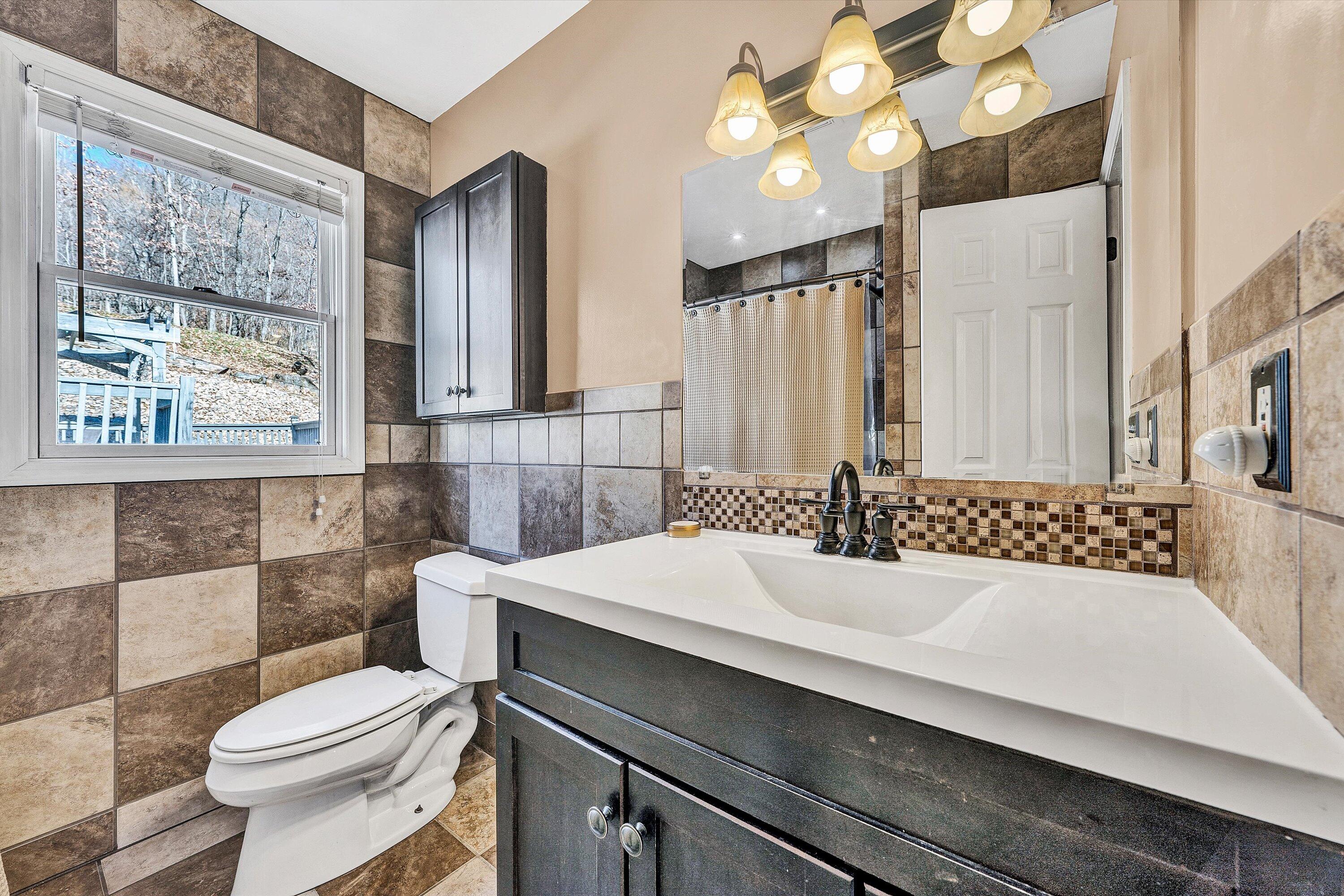 1311 Walnut Shell Drive Vinton, VA 24179 - Photo 25 of 61 a bathroom with a sink a toilet and shower