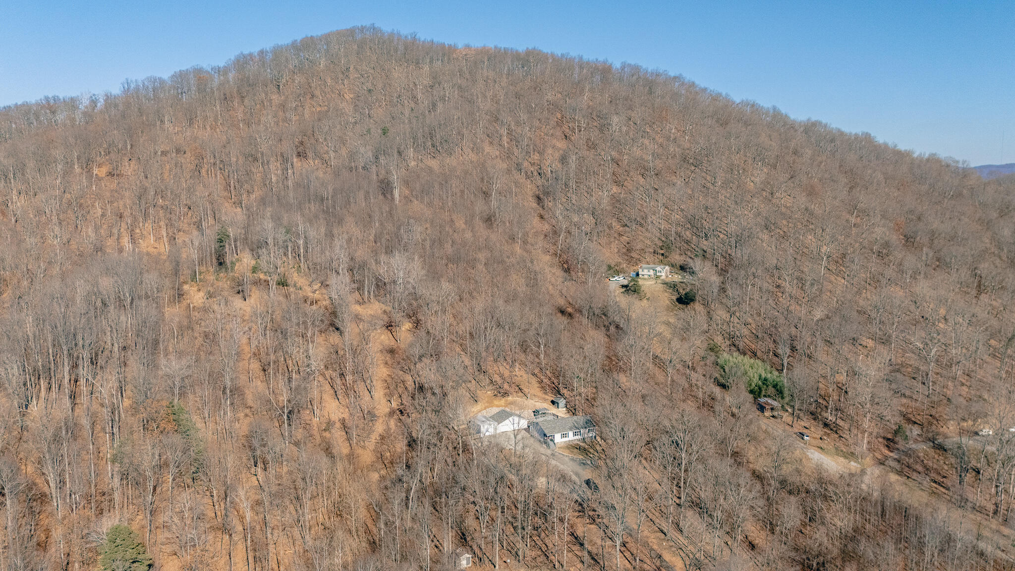 1311 Walnut Shell Drive Vinton, VA 24179 - Photo 52 of 61 a view of a dry yard