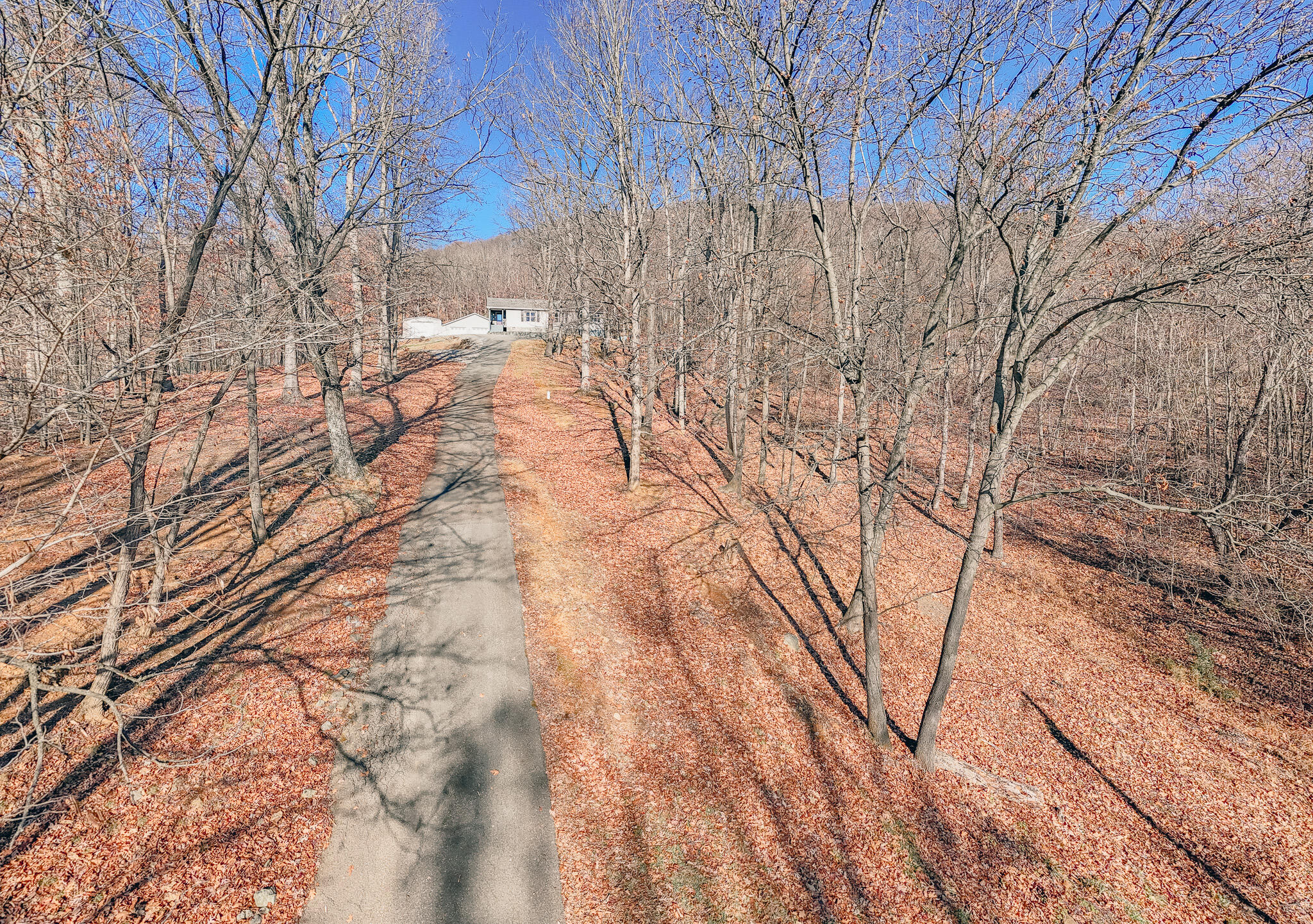 1311 Walnut Shell Drive Vinton, VA 24179 - Photo 55 of 61 Paved Driveway