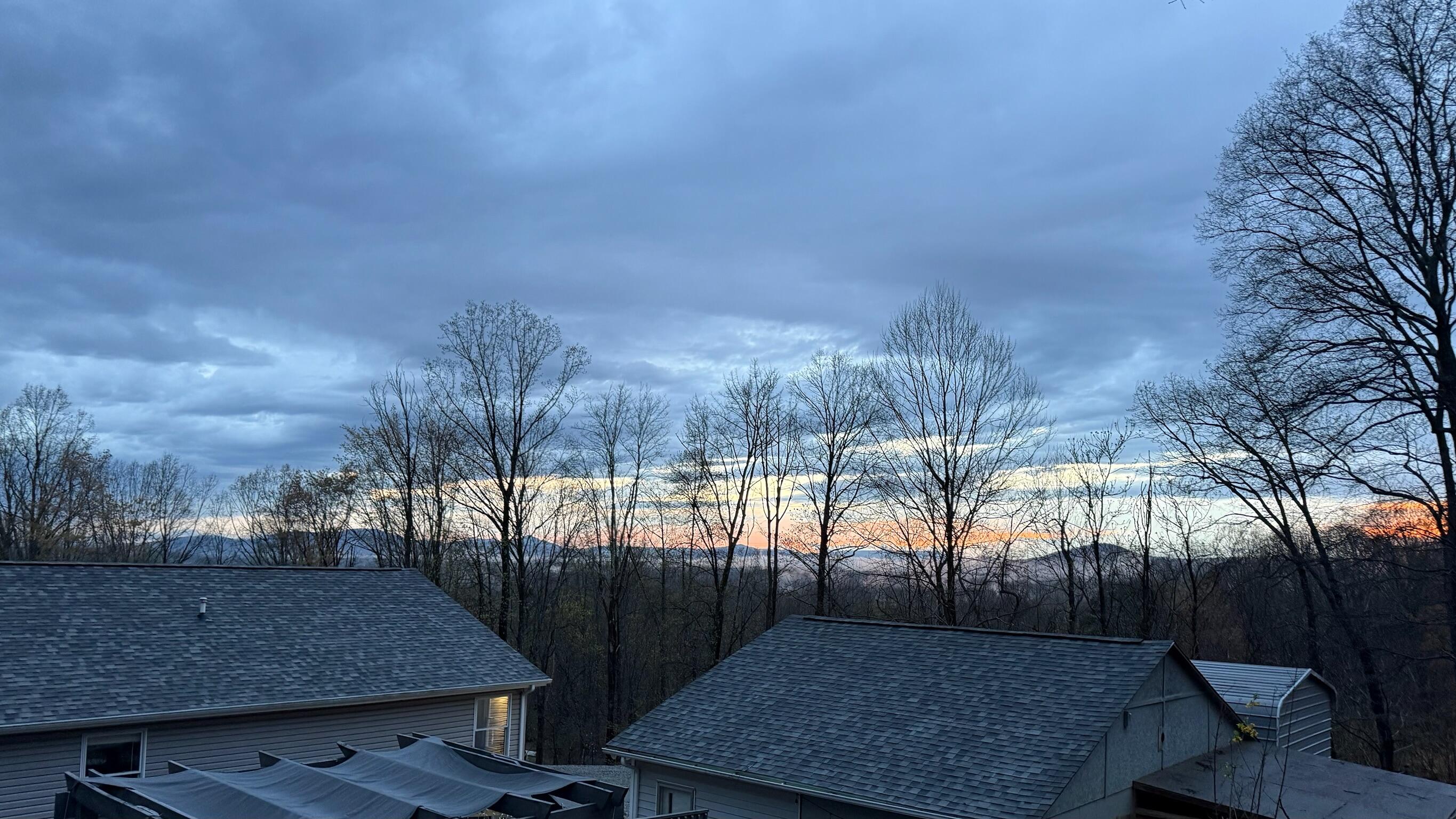 1311 Walnut Shell Drive Vinton, VA 24179 - Photo 56 of 61 a view of backyard with outdoor seating and plants