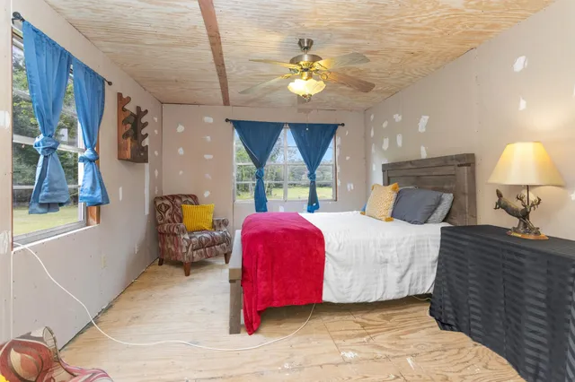 a view of a forest with a lake