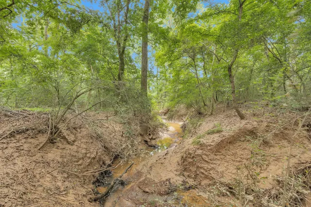 a view of a lush green field