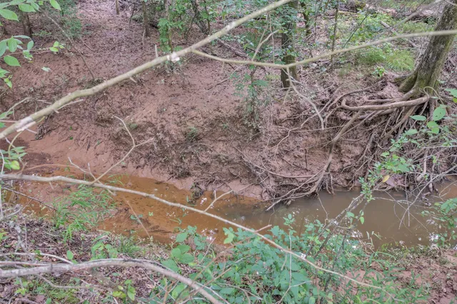 a view of outdoor space with swimming pool and trees