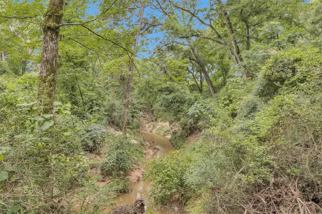a view of a field with trees