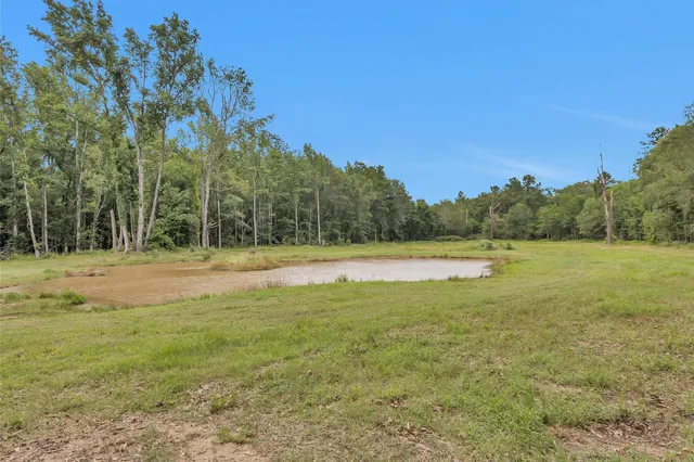 a view of a field with an trees