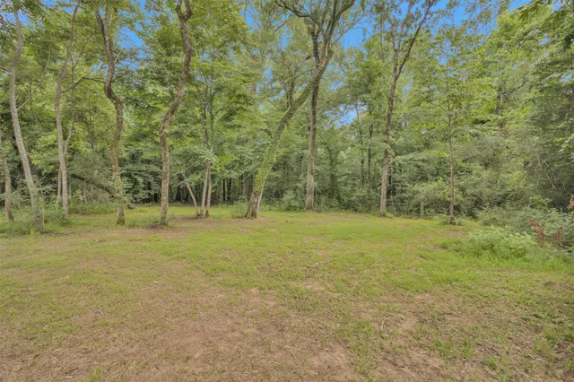 a view of beach and ocean