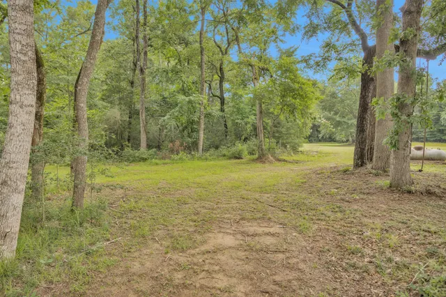 a view of a green field with trees in the background